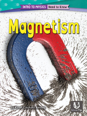 cover image of Magnetism